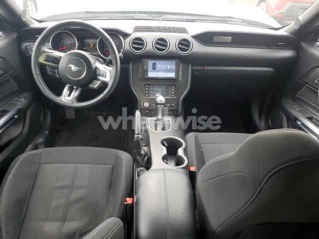 Photo 11 of 2019 FORD MUSTANG (VIN 1FA6P8THXK5166835)