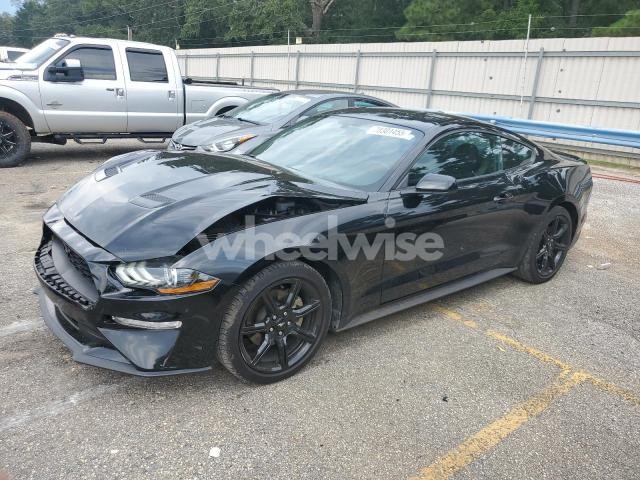Photo 12 of 2019 FORD MUSTANG (VIN 1FA6P8THXK5166835)