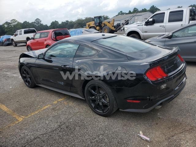 Photo 6 of 2019 FORD MUSTANG (VIN 1FA6P8THXK5166835)