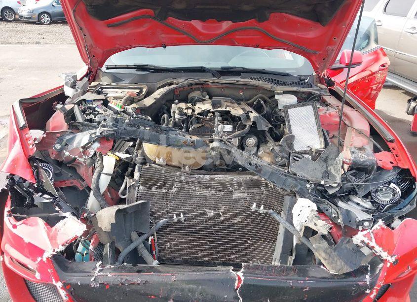 Photo 10 of 2019 Ford Mustang ECOBOOST (VIN 1FA6P8THXK5196692)