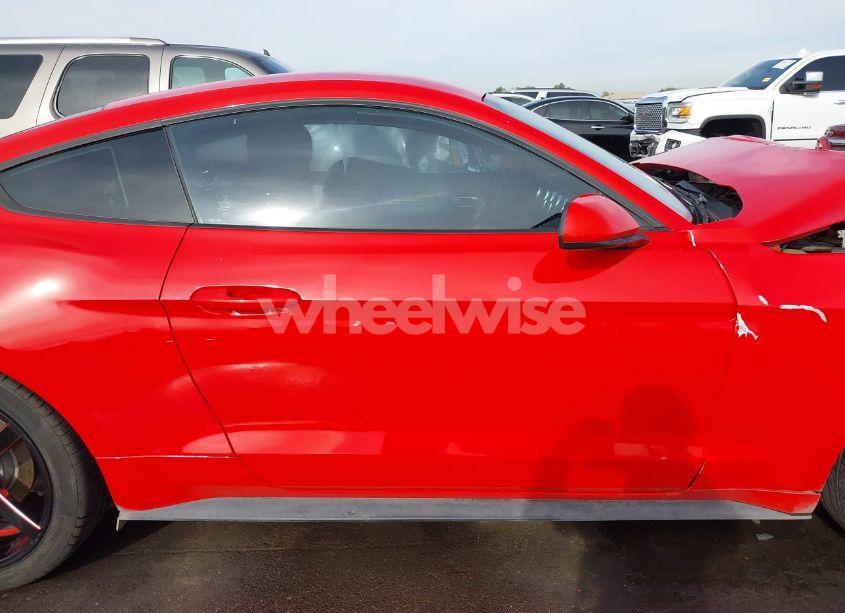 Photo 13 of 2019 Ford Mustang ECOBOOST (VIN 1FA6P8THXK5196692)