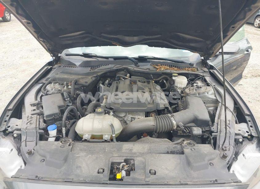 Photo 10 of 2020 Ford Mustang ECOBOOST PREMIUM FASTBACK (VIN 1FA6P8THXL5142584)