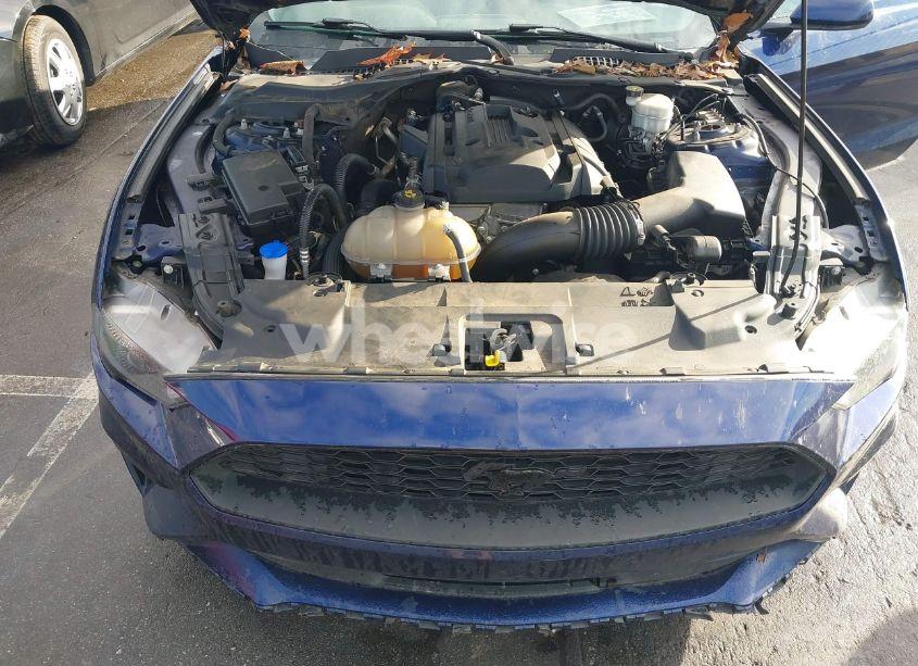 Photo 10 of 2020 Ford Mustang ECOBOOST FASTBACK (VIN 1FA6P8THXL5157764)