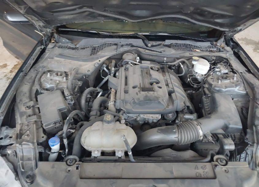 Photo 10 of 2020 Ford Mustang ECOBOOST (VIN 1FA6P8THXL5158901)