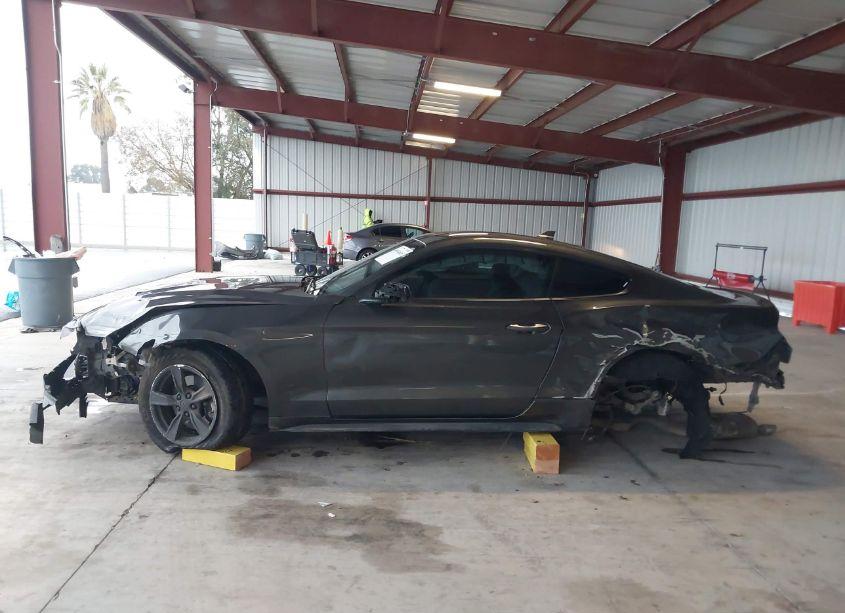 Photo 14 of 2020 Ford Mustang ECOBOOST (VIN 1FA6P8THXL5158901)