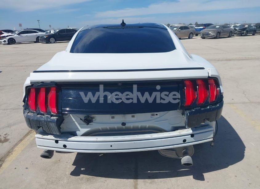 Photo 15 of 2020 Ford Mustang ECOBOOST FASTBACK (VIN 1FA6P8THXL5174791)