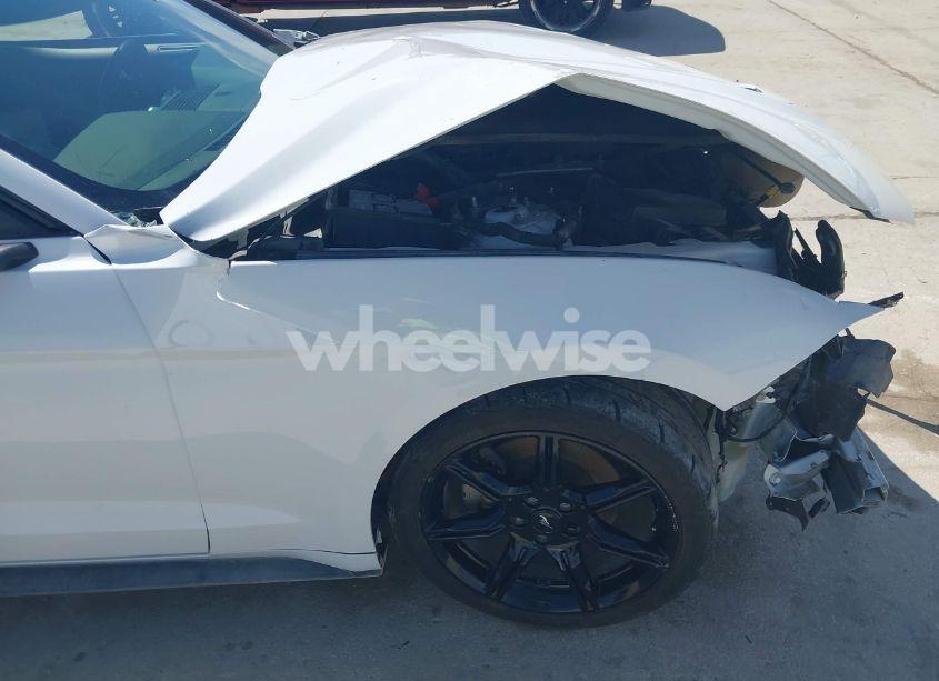 Photo 17 of 2020 Ford Mustang ECOBOOST FASTBACK (VIN 1FA6P8THXL5174791)