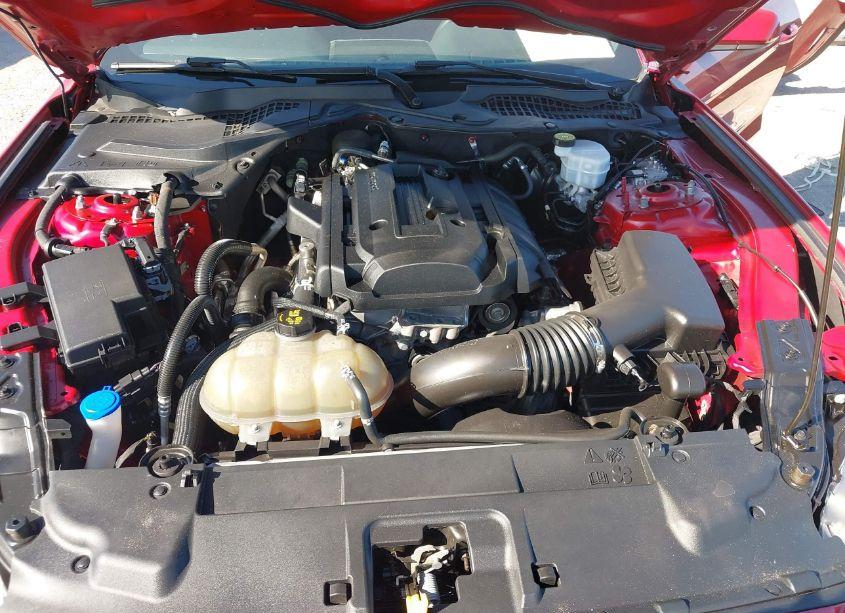 Photo 10 of 2020 Ford Mustang ECOBOOST (VIN 1FA6P8THXL5174970)