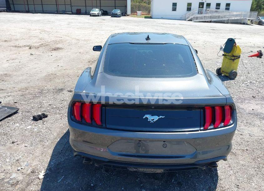 Photo 16 of 2020 Ford Mustang ECOBOOST FASTBACK (VIN 1FA6P8THXL5188464)