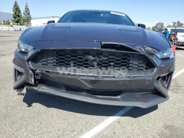 Photo 7 of 2022 FORD MUSTANG (VIN 1FA6P8THXN5150204)