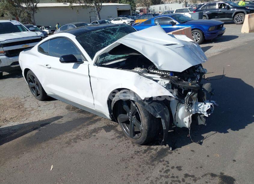 2023 Ford Mustang ECOBOOST FASTBACK (VIN 1FA6P8THXP5101393) main photo