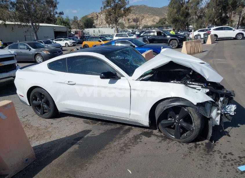 Photo 12 of 2023 Ford Mustang ECOBOOST FASTBACK (VIN 1FA6P8THXP5101393)