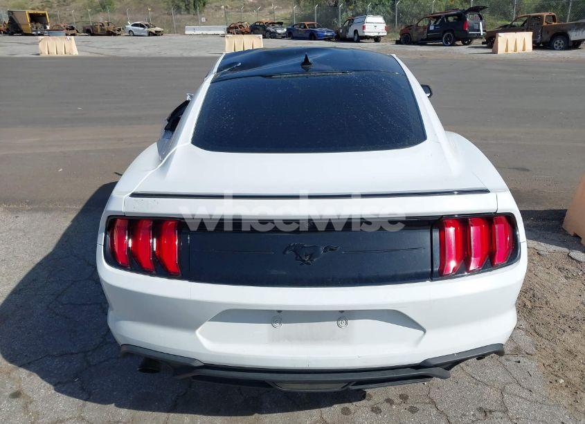 Photo 15 of 2023 Ford Mustang ECOBOOST FASTBACK (VIN 1FA6P8THXP5101393)