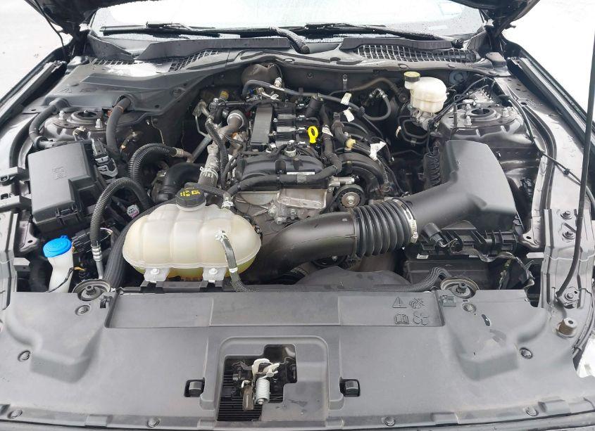 Photo 10 of 2023 Ford Mustang ECOBOOST PREMIUM (VIN 1FA6P8THXP5109039)