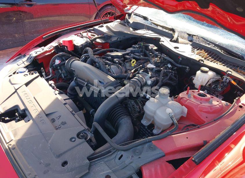 Photo 10 of 2024 Ford Mustang ECOBOOST FASTBACK (VIN 1FA6P8THXR5106709)