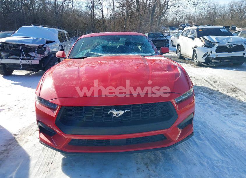 Photo 12 of 2024 Ford Mustang ECOBOOST FASTBACK (VIN 1FA6P8THXR5106709)