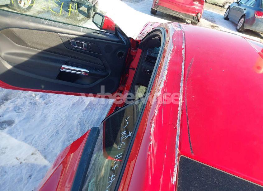 Photo 19 of 2024 Ford Mustang ECOBOOST FASTBACK (VIN 1FA6P8THXR5106709)
