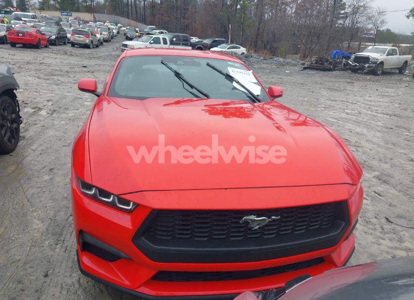 Photo 12 of 2024 Ford Mustang ECOBOOST FASTBACK (VIN 1FA6P8THXR5106841)