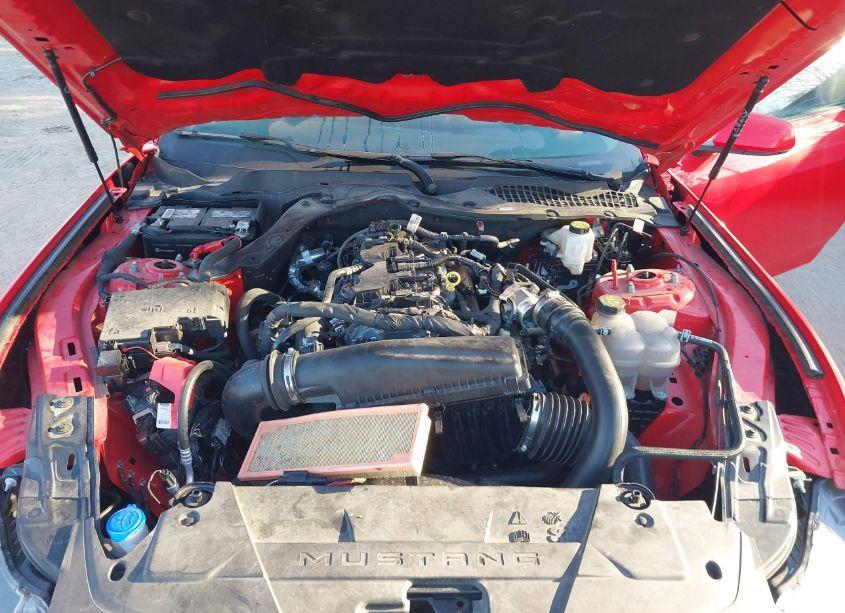 Photo 10 of 2024 Ford Mustang ECOBOOST FASTBACK (VIN 1FA6P8THXR5107116)