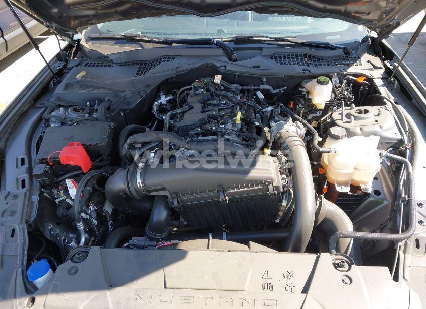 Photo 10 of 2024 Ford Mustang ECOBOOST FASTBACK (VIN 1FA6P8THXR5110680)