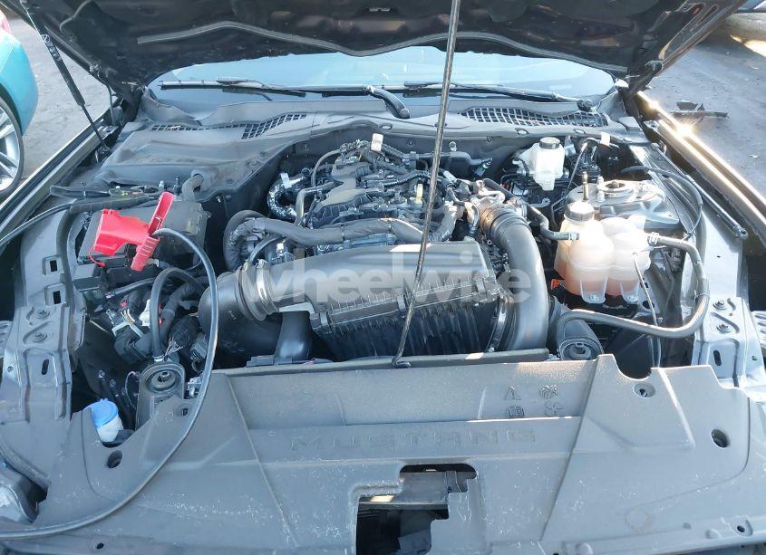 Photo 10 of 2024 Ford Mustang ECOBOOST FASTBACK (VIN 1FA6P8THXR5110971)