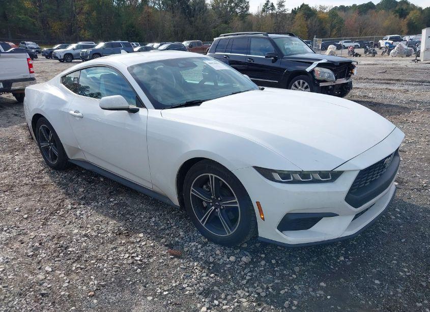 2024 Ford Mustang ECOBOOST (VIN 1FA6P8THXR5114891) main photo