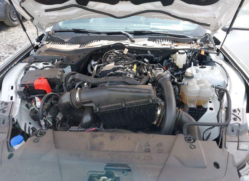 Photo 10 of 2024 Ford Mustang ECOBOOST (VIN 1FA6P8THXR5114891)