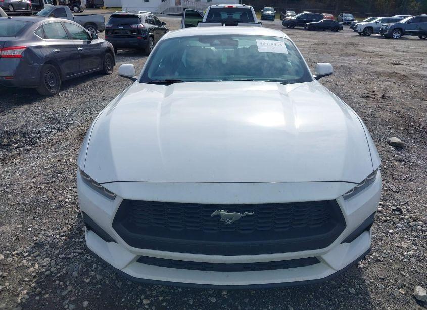 Photo 12 of 2024 Ford Mustang ECOBOOST (VIN 1FA6P8THXR5114891)
