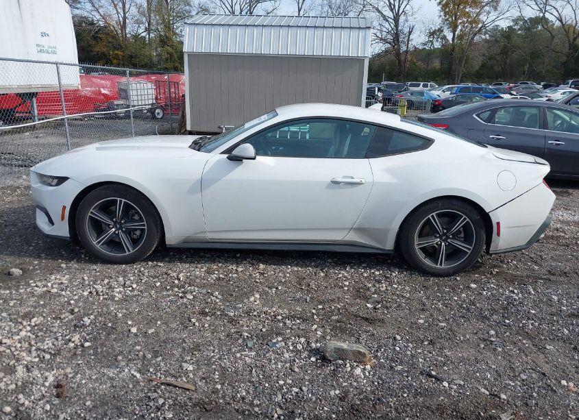 Photo 14 of 2024 Ford Mustang ECOBOOST (VIN 1FA6P8THXR5114891)