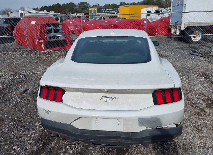 Photo 16 of 2024 Ford Mustang ECOBOOST (VIN 1FA6P8THXR5114891)