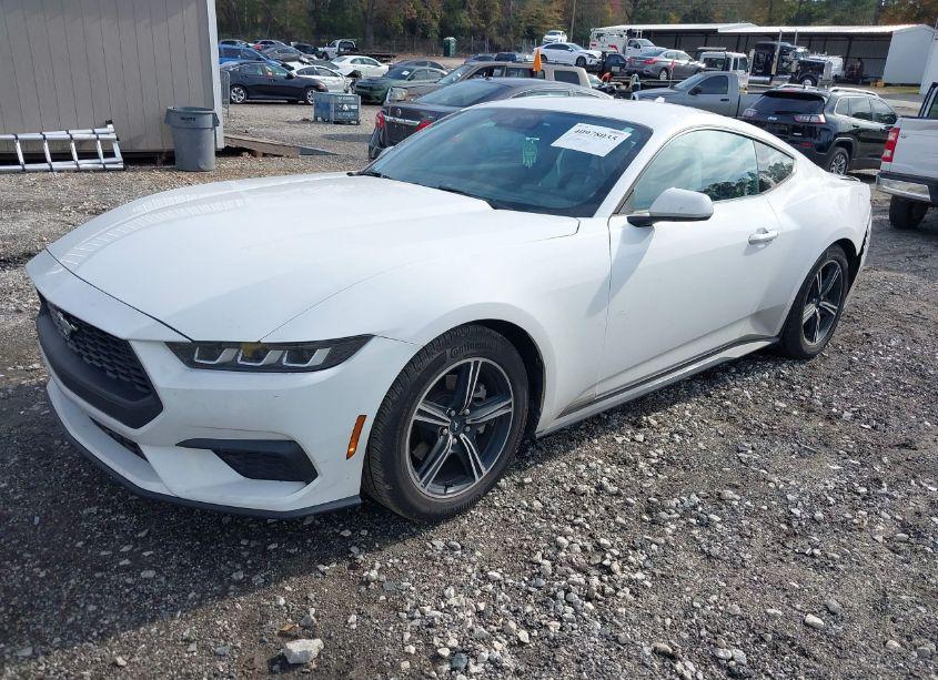 Photo 2 of 2024 Ford Mustang ECOBOOST (VIN 1FA6P8THXR5114891)