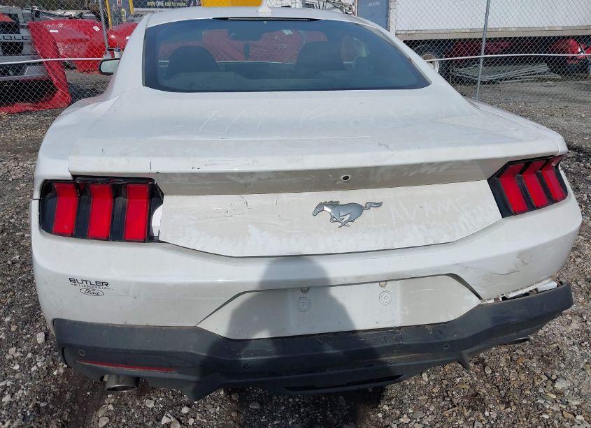 Photo 6 of 2024 Ford Mustang ECOBOOST (VIN 1FA6P8THXR5114891)