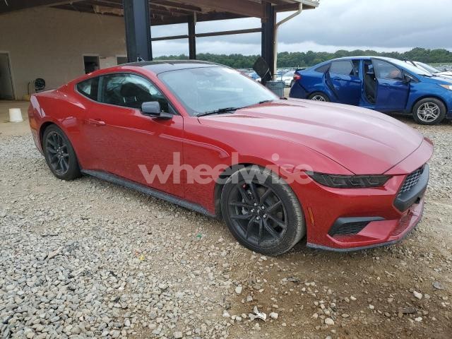 2024 FORD MUSTANG (VIN 1FA6P8THXR5135028) main photo