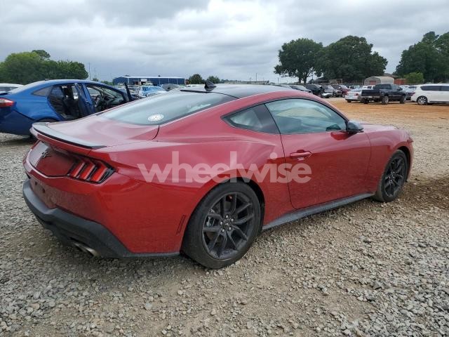Photo 11 of 2024 FORD MUSTANG (VIN 1FA6P8THXR5135028)