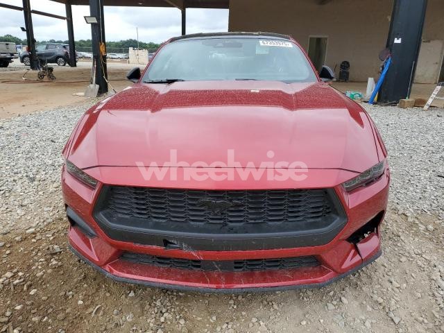 Photo 6 of 2024 FORD MUSTANG (VIN 1FA6P8THXR5135028)