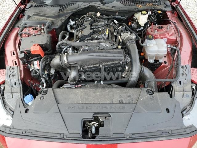 Photo 8 of 2024 FORD MUSTANG (VIN 1FA6P8THXR5135028)