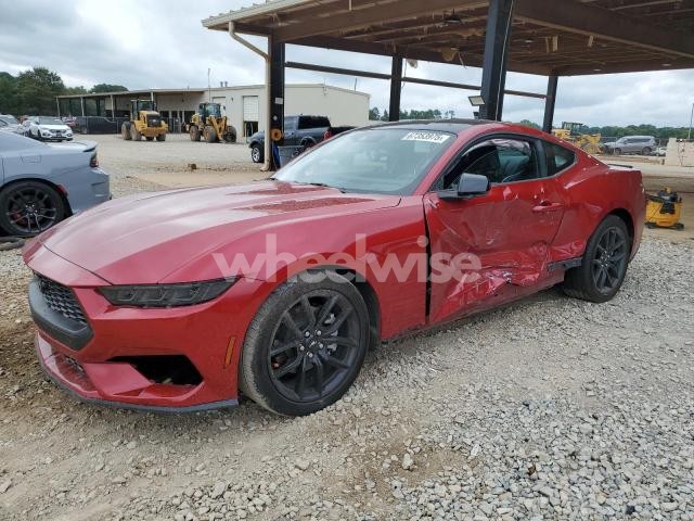 Photo 9 of 2024 FORD MUSTANG (VIN 1FA6P8THXR5135028)