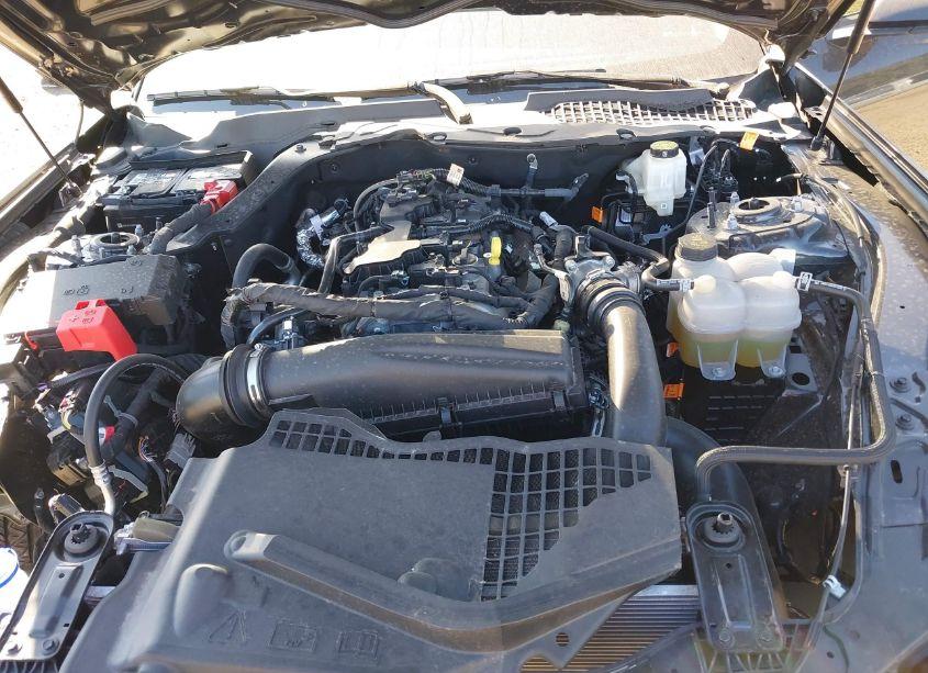 Photo 10 of 2024 Ford Mustang ECOBOOST (VIN 1FA6P8THXR5141587)