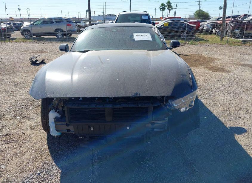 Photo 13 of 2024 Ford Mustang ECOBOOST (VIN 1FA6P8THXR5141587)