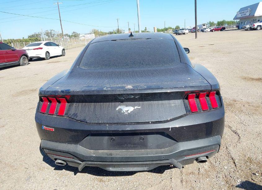 Photo 17 of 2024 Ford Mustang ECOBOOST (VIN 1FA6P8THXR5141587)