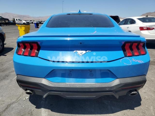 Photo 12 of 2024 FORD MUSTANG (VIN 1FA6P8THXR5149656)