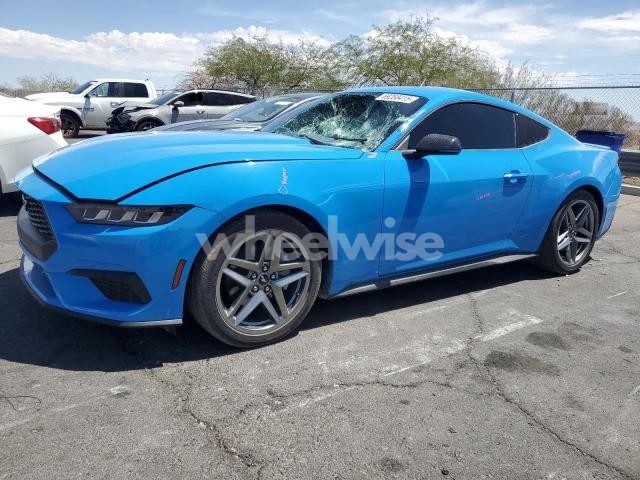 Photo 4 of 2024 FORD MUSTANG (VIN 1FA6P8THXR5149656)