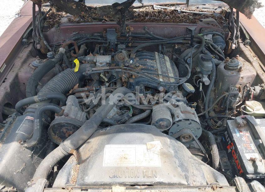 Photo 10 of 1988 Ford Thunderbird (VIN 1FABP6042JH241545)