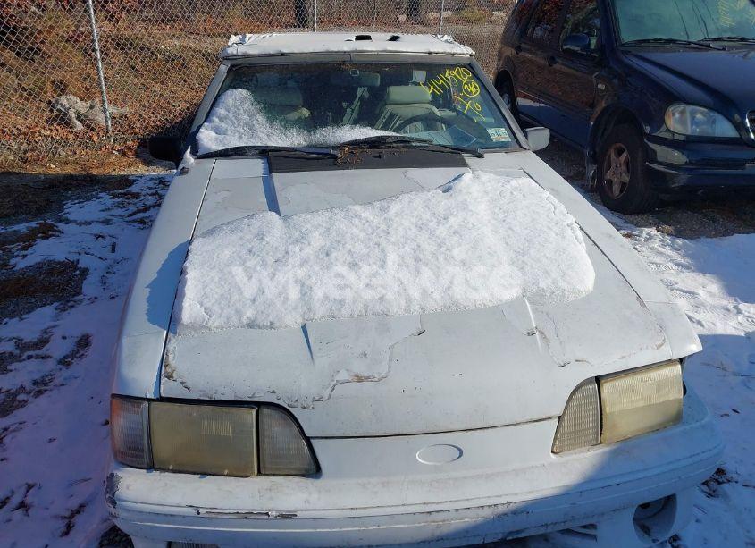 Photo 12 of 1991 Ford Mustang GT/COBRA GT (VIN 1FACP45E2MF192647)