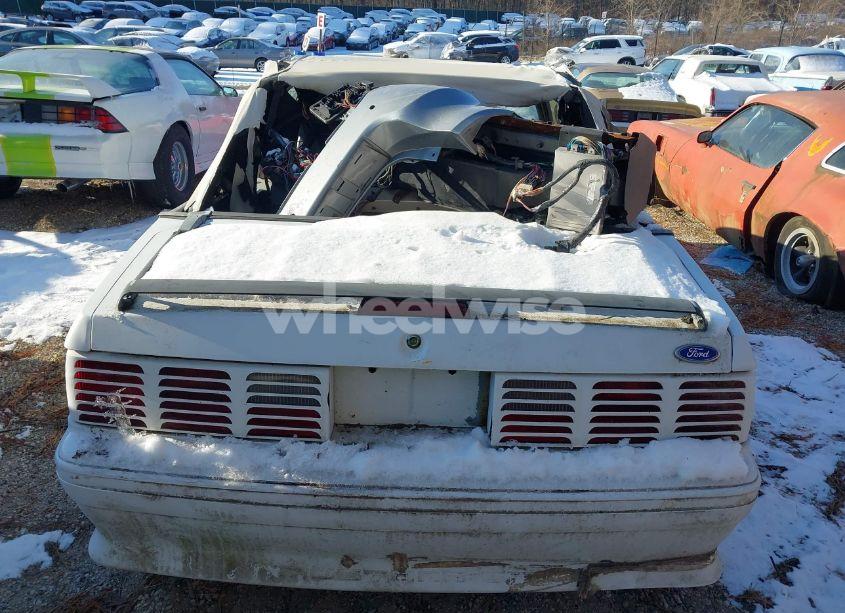 Photo 16 of 1991 Ford Mustang GT/COBRA GT (VIN 1FACP45E2MF192647)