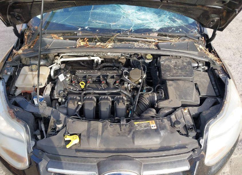 Photo 10 of 2014 Ford Focus S (VIN 1FADP3E20EL135466)