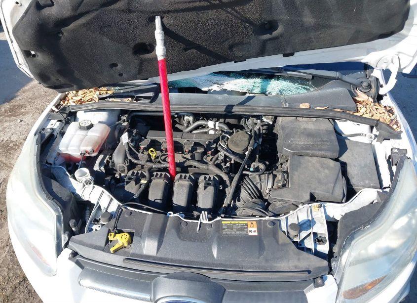 Photo 10 of 2013 Ford Focus S (VIN 1FADP3E25DL331790)