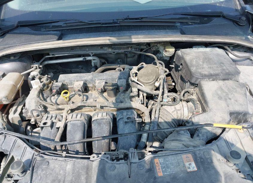 Photo 10 of 2014 Ford Focus SE (VIN 1FADP3F20EL390648)