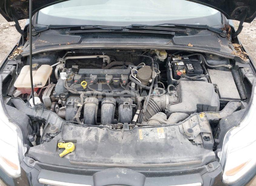 Photo 10 of 2014 Ford Focus SE (VIN 1FADP3F20EL448922)