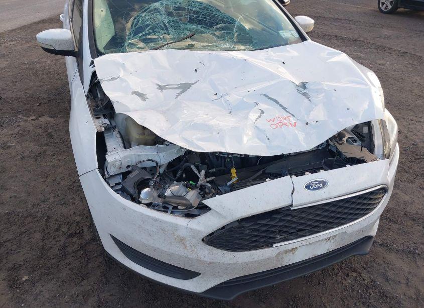 Photo 6 of 2015 Ford Focus SE (VIN 1FADP3F20FL260242)